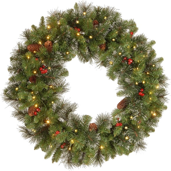 National Tree Company Other - 1 Left in Stock! 30" Pre-Lit LED Artificial Christmas Wreath Frosted + Mount
